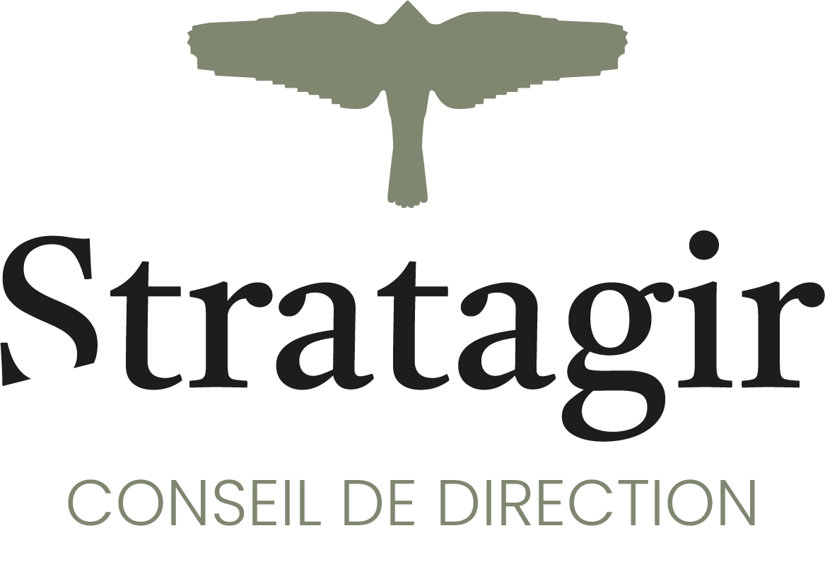 Dirigeant de STRATAGIR